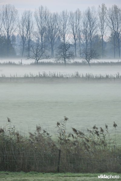 Natuurgebied Weijmeerbroek