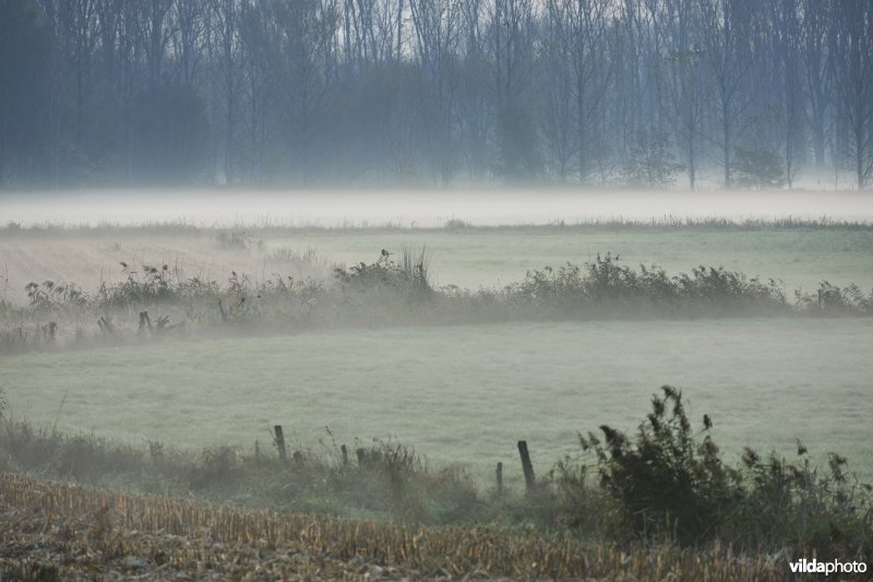 Natuurgebied Weijmeerbroek