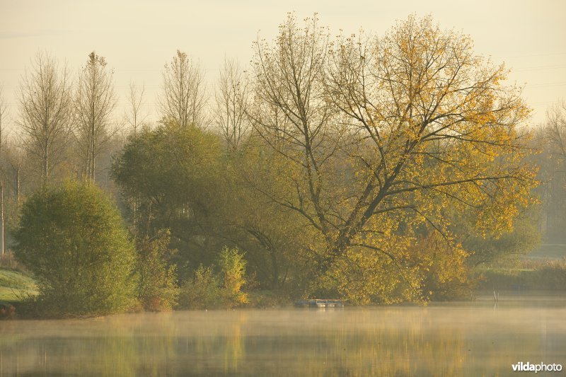 Natuurreservaat de Oude Durme