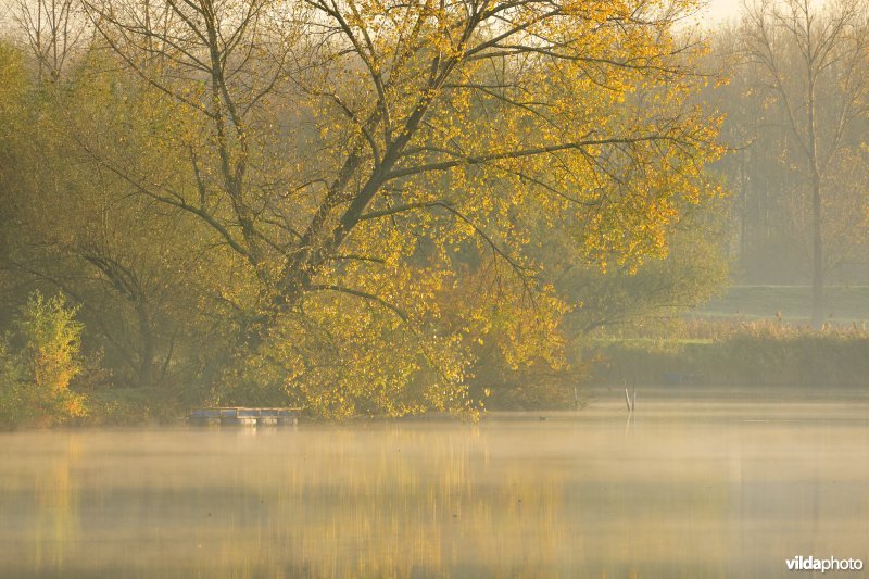 Natuurreservaat de Oude Durme