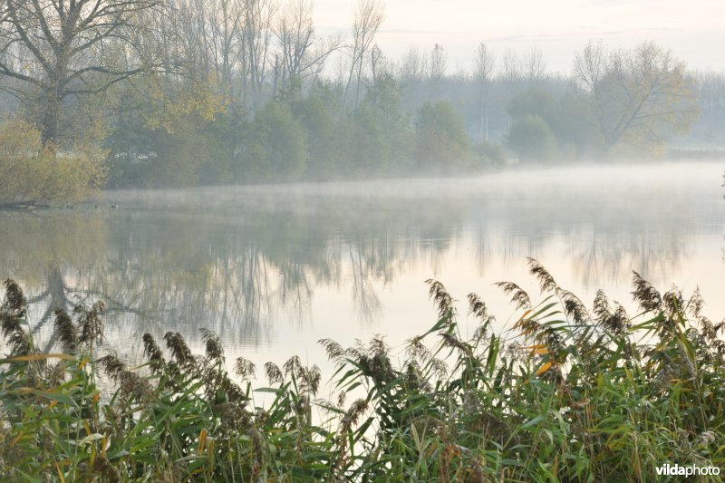 Natuurreservaat de Oude Durme