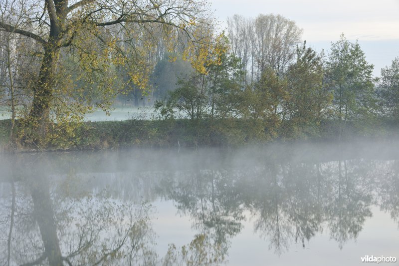 Natuurreservaat de Oude Durme