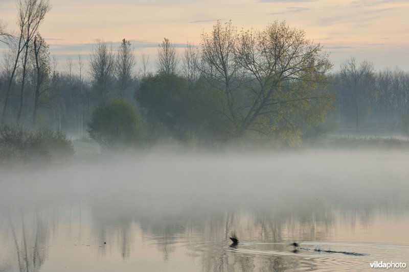 Natuurreservaat de Oude Durme