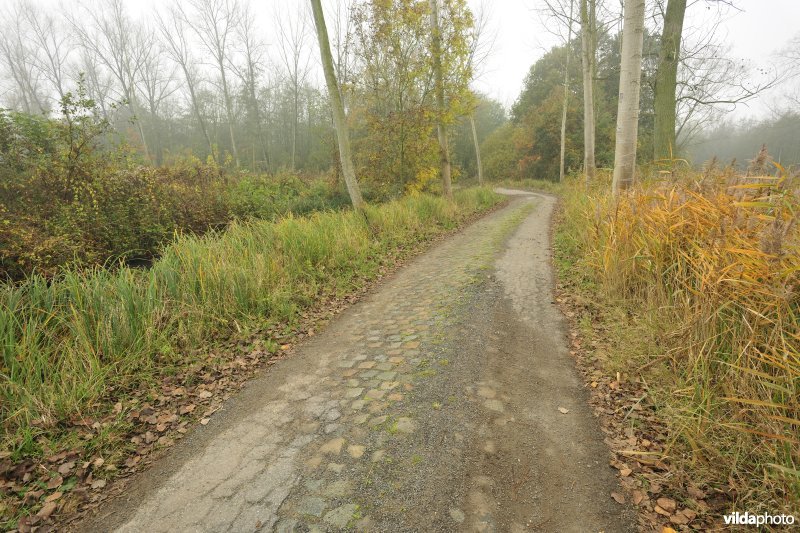 Polder van Kruibeke-Bazel-Rupelmonde