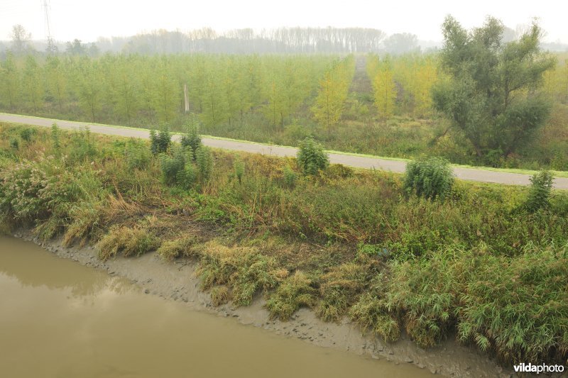 Grote Vijver deel 1 in het Zennegat