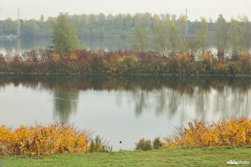 Grote Vijver deel 2 in het Zennegat