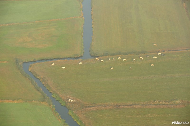 Zijdelingsgeleed