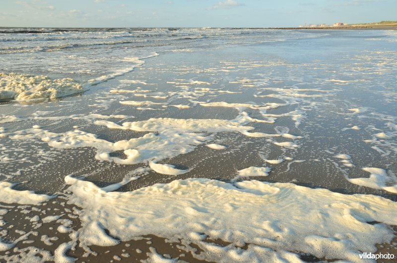 Noordzeestrand