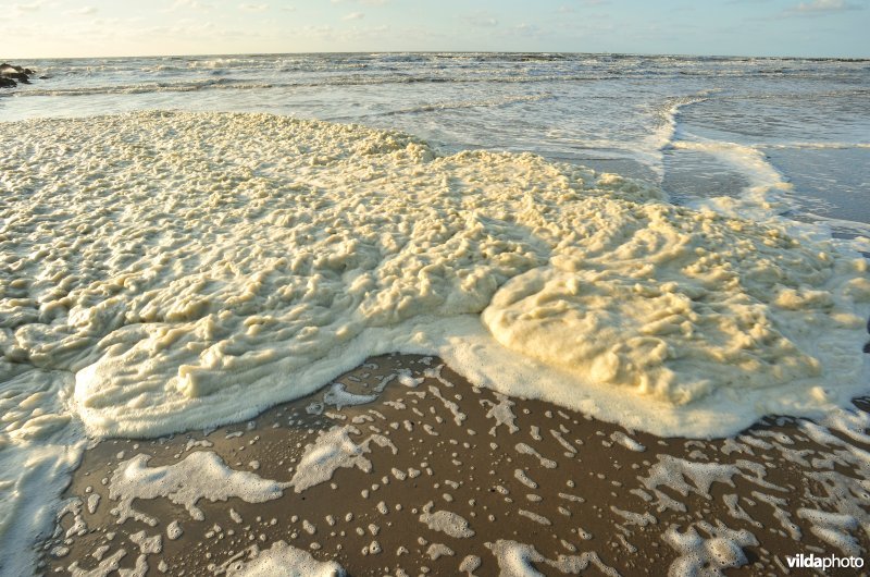 Noordzeestrand