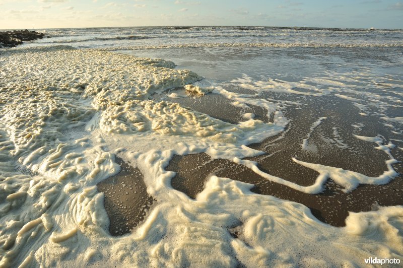 Noordzeestrand