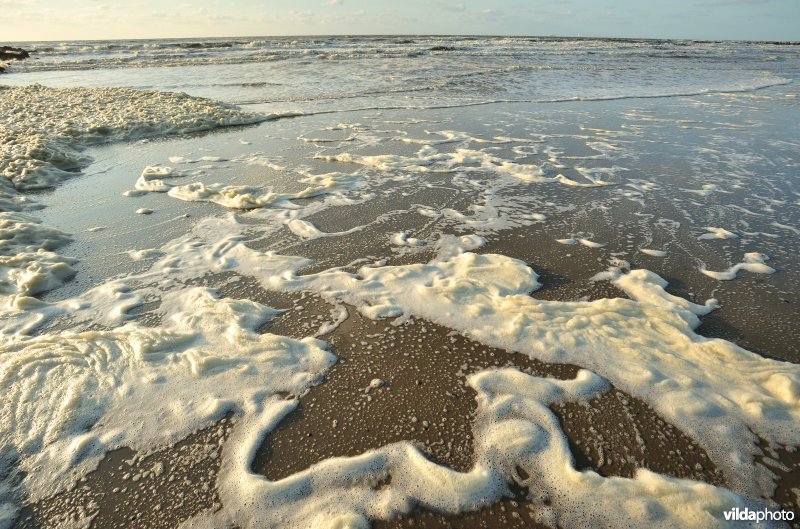 Noordzeestrand