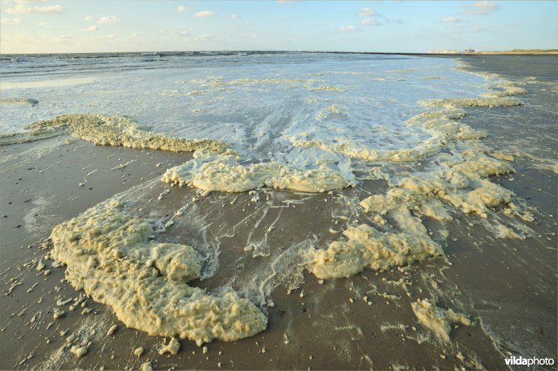 Noordzeestrand