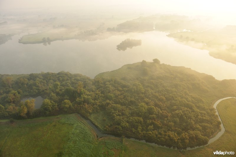 Separaatgracht en wilgenbossen aan de Blankaart