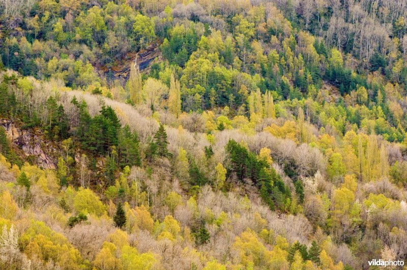 Berghelling in Pyreneeën