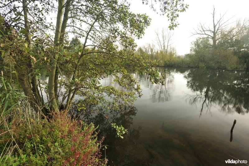 Natuurreservaat De Roggeman