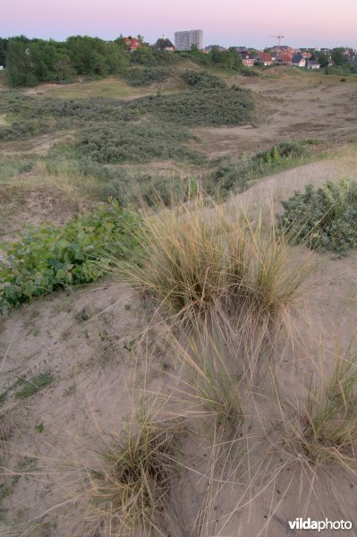 Ter Yde oostduinkerke