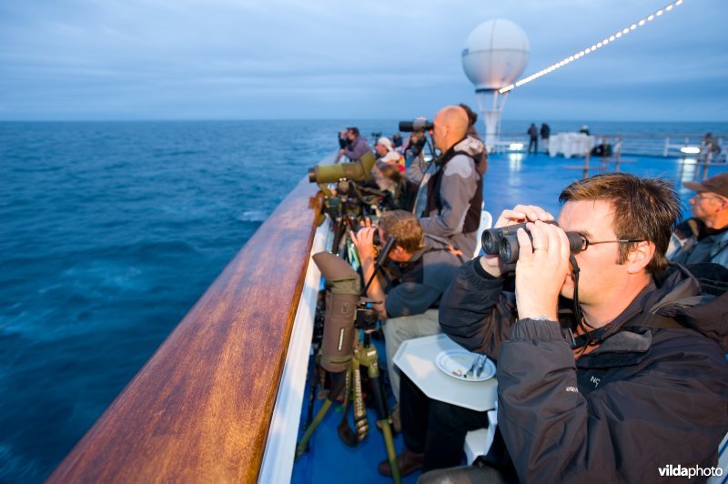 Vogelkijkers op de Ultimate Pelagic