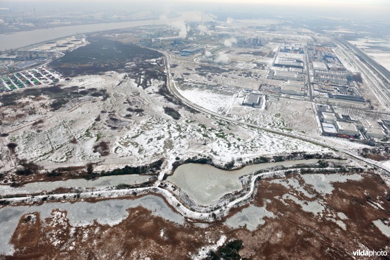 Put van Fientje en Vlakte van Zwijndrecht