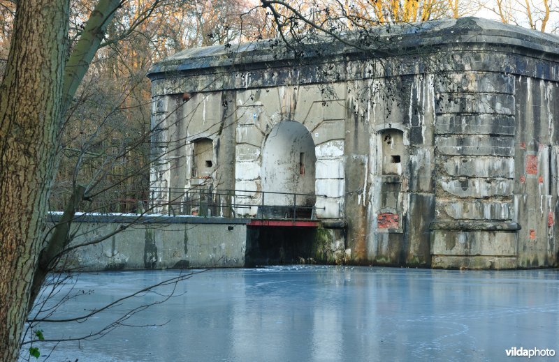 Walgracht rond Fort Oelegem