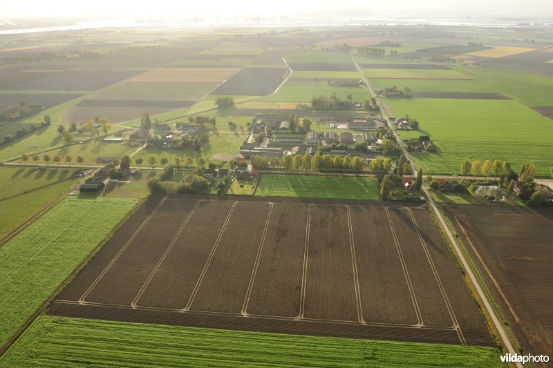 Akkerland in de Prosperpolder