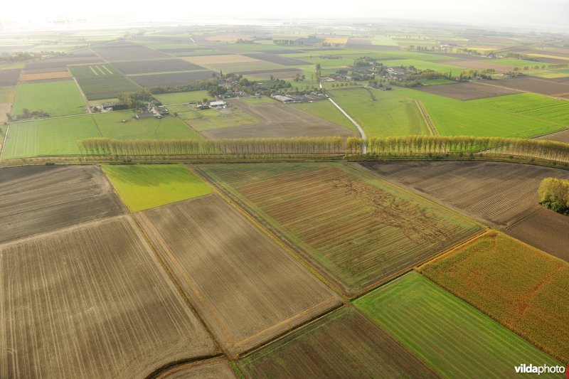 Prosperpolder en Prosperdorpje