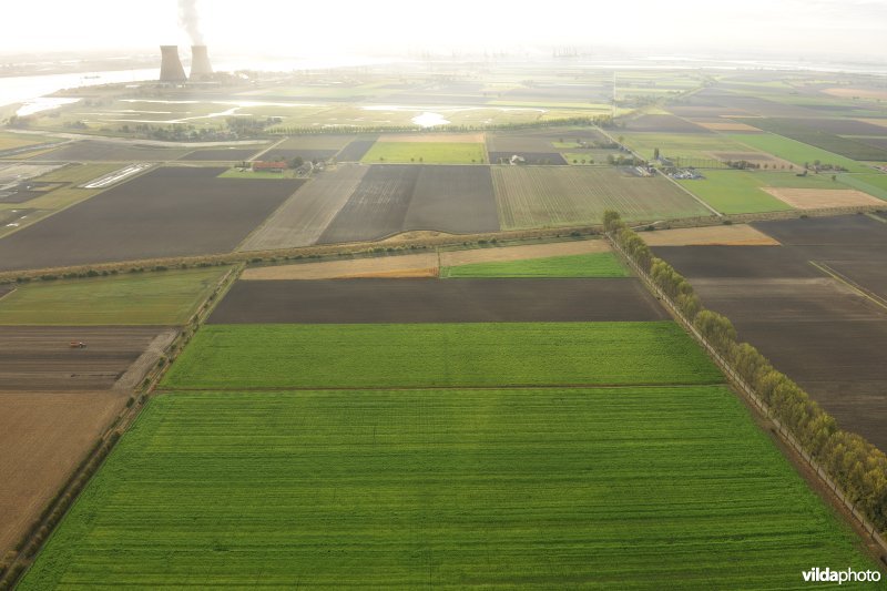 Prosperpolder en Doelpolder
