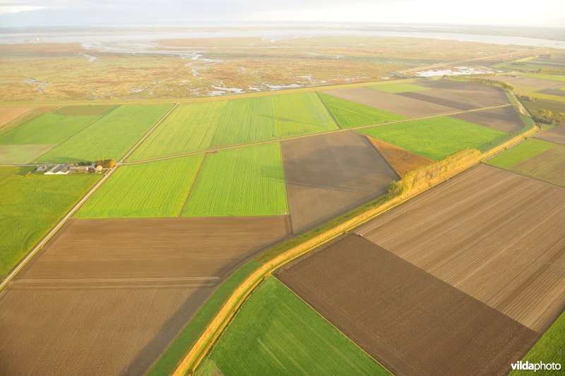 Zeedijk van de Hedwige en Prosperpolder