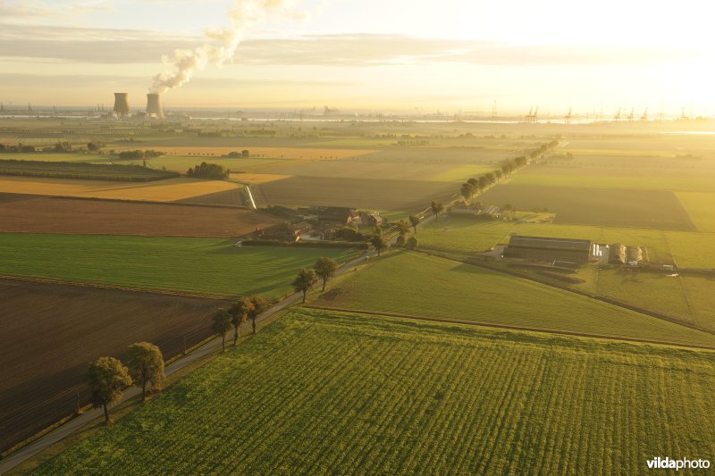 Hertog Prosperstraat in de Prosperpolder