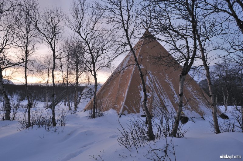 Samitent, Abisko, Sweden