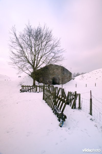 Fort Sabina