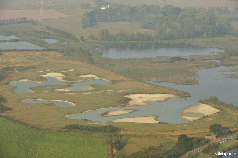 Viconia Kleiputten