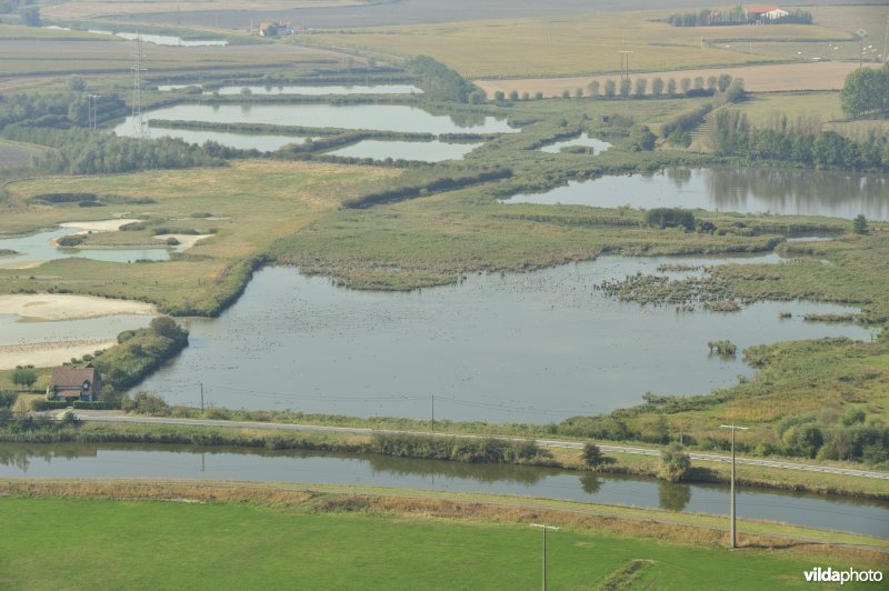 Viconia Kleiputten