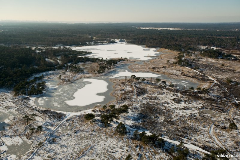 Luchtfoto van de Kalmthoutse Heide