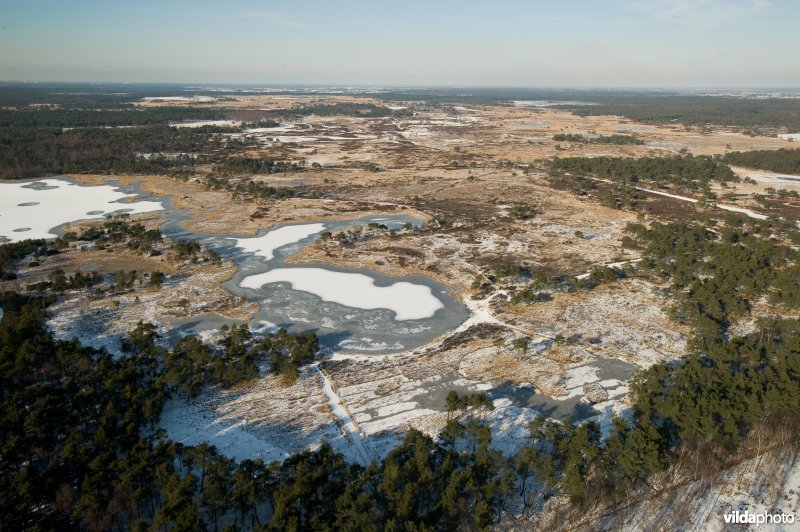 Luchtfoto van de Kalmthoutse Heide