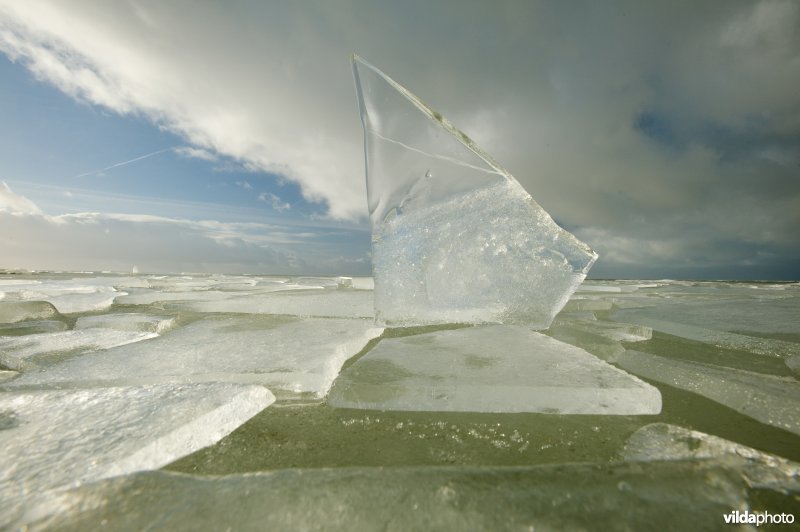 Kruiend ijs aan dijk langs het IJsselmeer