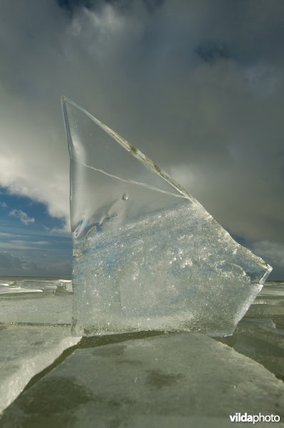 Kruiend ijs aan dijk langs het IJsselmeer