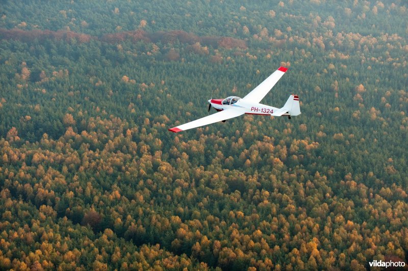 Vliegtuigje boven bos