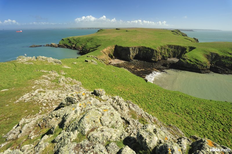 Skomer