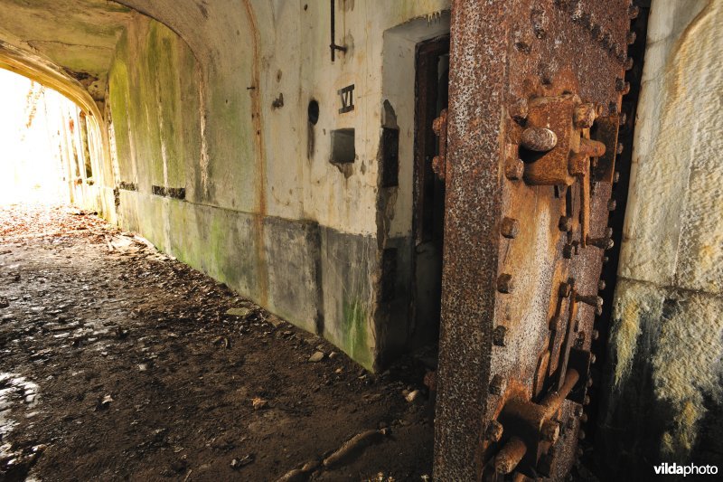 Fort Oelegem