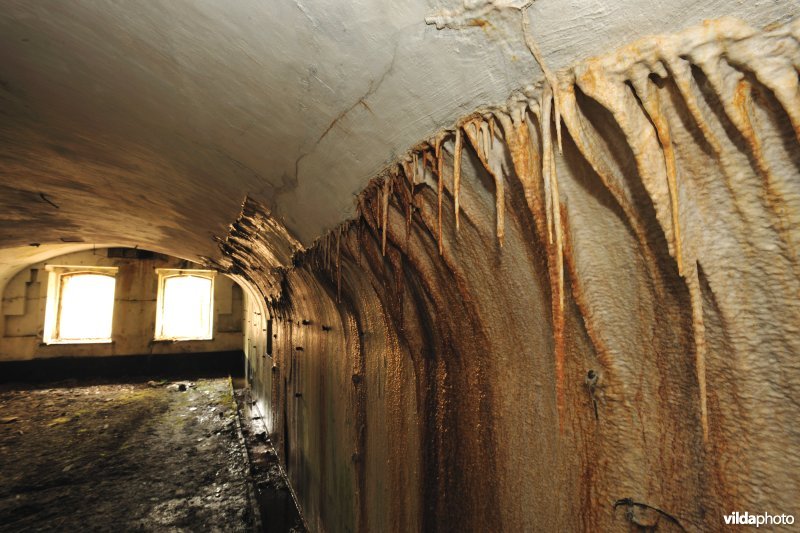Fort Oelegem