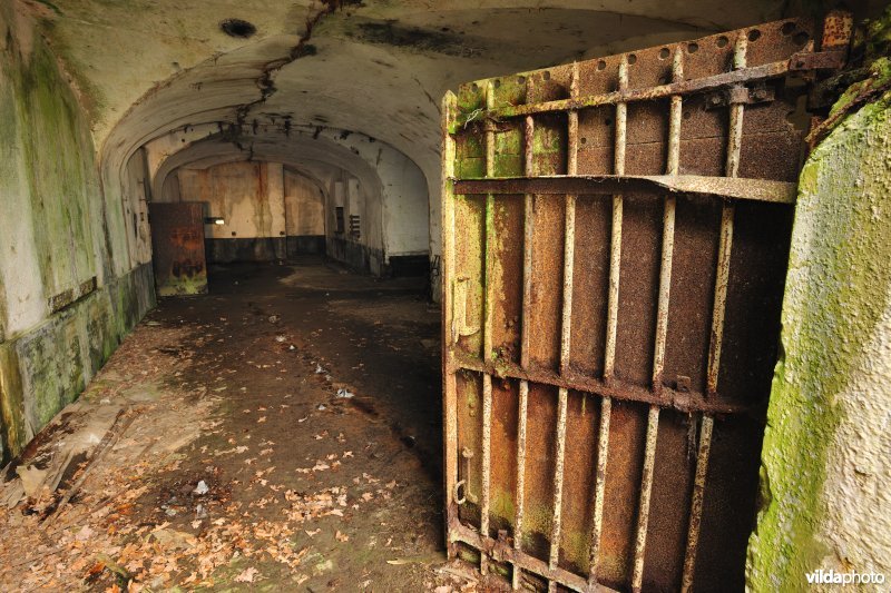 Fort Oelegem