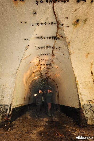 Fort Oelegem
