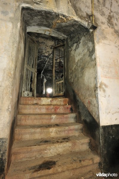 Fort Oelegem