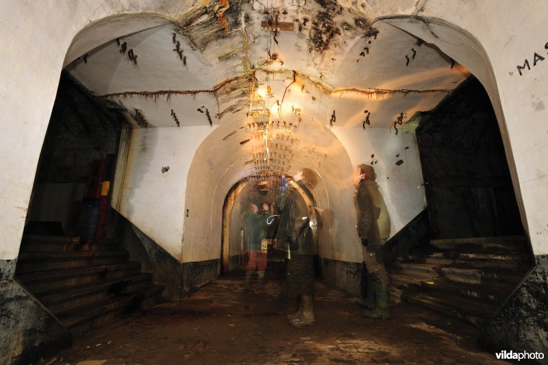 Fort Oelegem