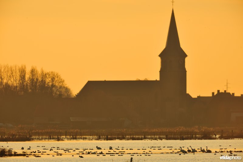 Overstroomde Westbroeken