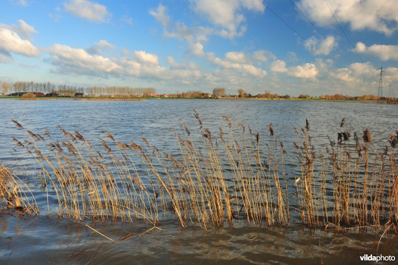 Overstroomde Martjesvaart