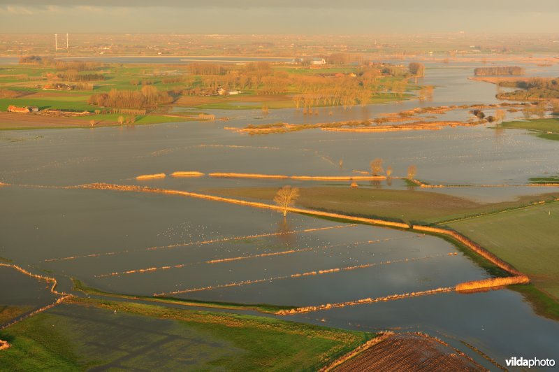 Overstroomde Blankaartvijver