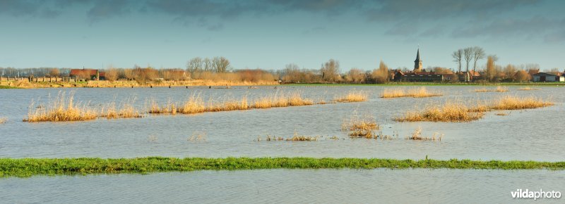 Overstroomde Noordschotebroek