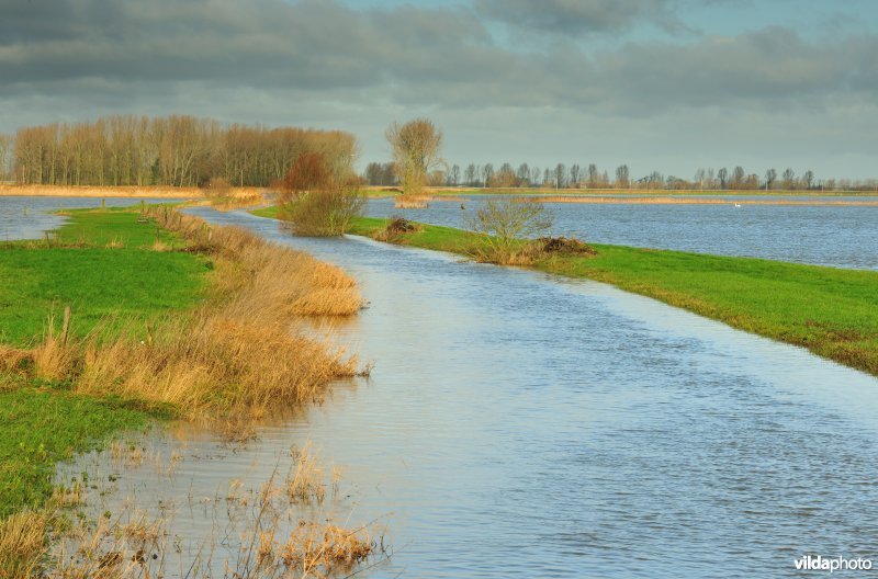 Overstroomde Noordschotebroek