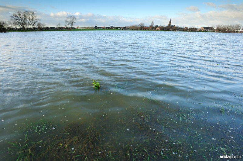 Overstroomde Noordschotebroek